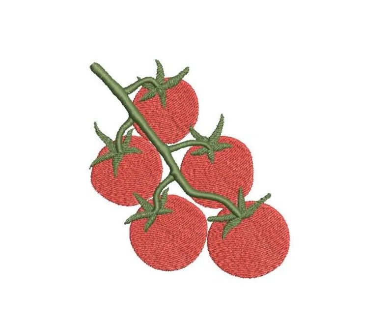Tomato Vine