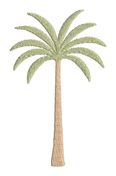 Palm Tree